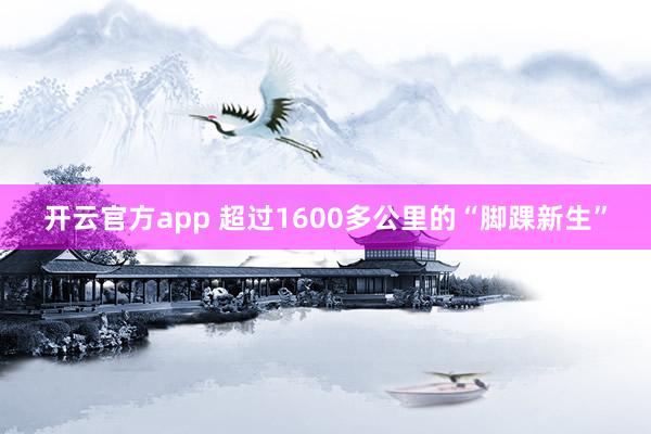 开云官方app 超过1600多公里的“脚踝新生”