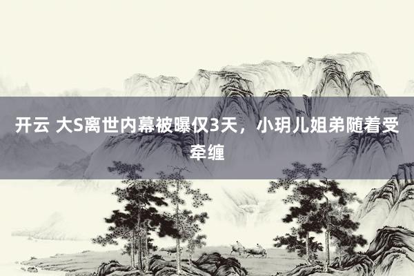 开云 大S离世内幕被曝仅3天，小玥儿姐弟随着受牵缠