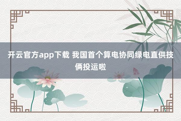 开云官方app下载 我国首个算电协同绿电直供技俩投运啦